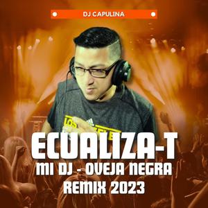 Mi Dj (Remix 2023) [Explicit]