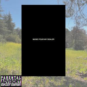 Br0wn Svm - V Big Fish, V Big Cat, (S0me Big Chvt) , V Big Bird (Explicit)