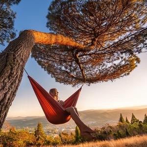 Relaxation Harmony - Sitting In The Comfort Of Stillness