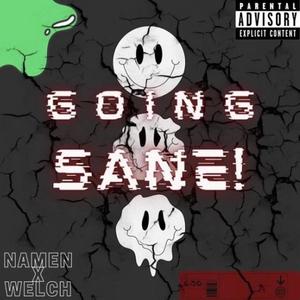 GOIN SANE (feat. Namen) [Explicit]