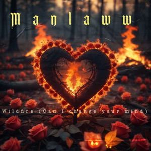 Wildfire (Can I Change Your Mind) (Explicit)