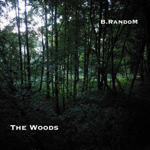 The Woods