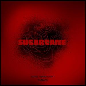 Sugarcane (feat. THØMZZY & Turna OTB) [Explicit]