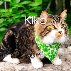 Kiko