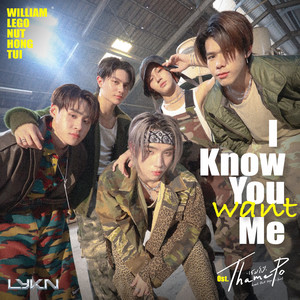 I Know You Want Me - Single