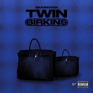 Twin Birkins (Explicit)