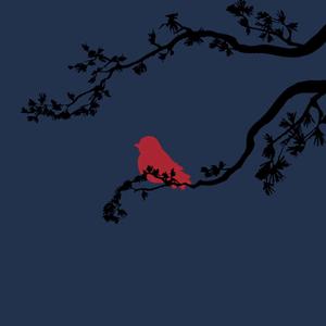 Songs from the Trees