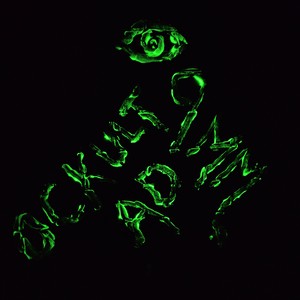 9 millimeter (Explicit)