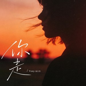 Veny魏安然 - 你走 (女声 R&B版)