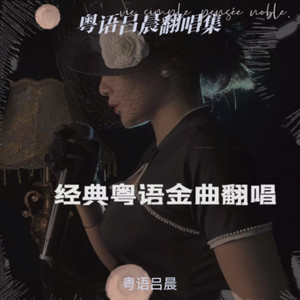 是雨是泪封面