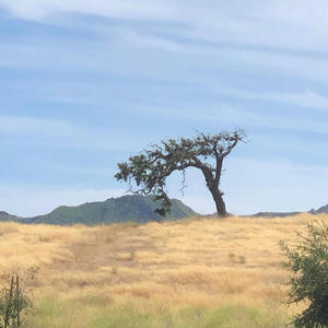 D34D 2 M3H (feat. 458 Keez & Neiman Taylor) (Explicit)