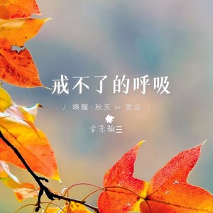 戒不了的呼吸 (心动版)