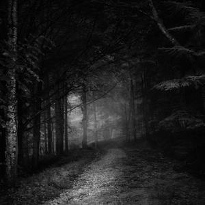 Dark Tune (Explicit)