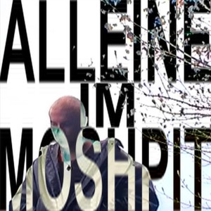 Alleine Im Moshpit (Explicit)