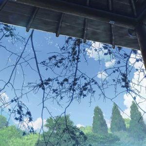 逐渐崩坏的世界