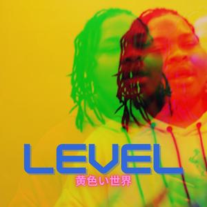 Level