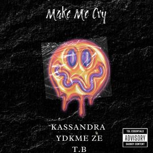 Make Me Cry (feat. YDKME ZE, T.B & VSHY)