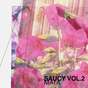 Saucy Vol. 2