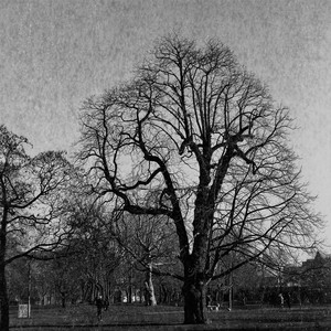 Better Life (Explicit)