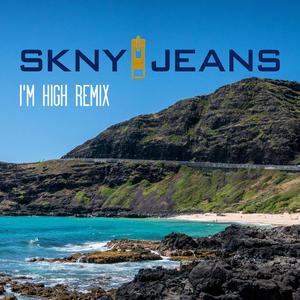 I'm High (feat. Hirie) [Remix]