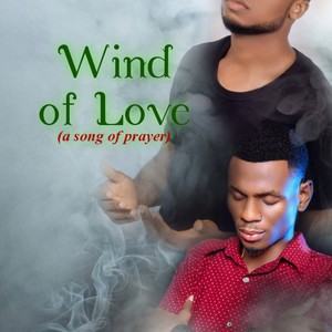 Wind of Love (feat. Austin Stanley)