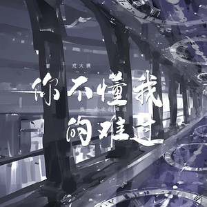 你不懂我的难过(我一次次的难过)
