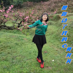 是你动了我的心