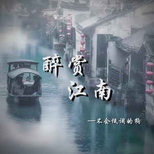 独赏江南春 (伴奏)