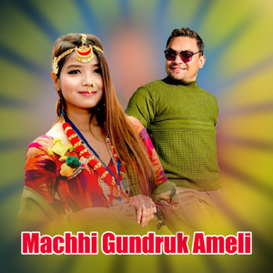 Machhi Gundruk Ameli