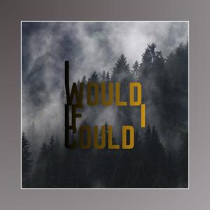 I Would If I Could