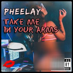 Take Me In Your Arms (Devin Grey Remix|Explicit)