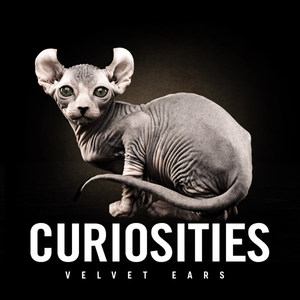 Velvet Ears: Curiosities