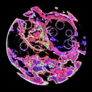 Speak Of The (Interlude)