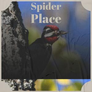 Spider Place