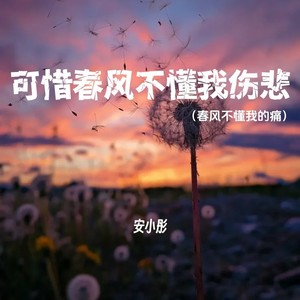 可惜春风不懂我伤悲-安小彤
