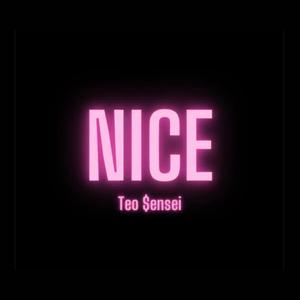 Nice (feat. Teo $ensei)