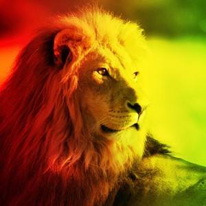 Drummerboy(feat. Lioness)
