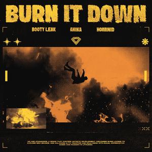 Burn It Down (Techno Mix)