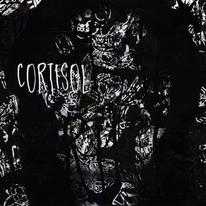 Cortisol (Explicit)