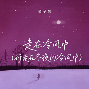 走在冷风中（行走在冬夜的冷风中）