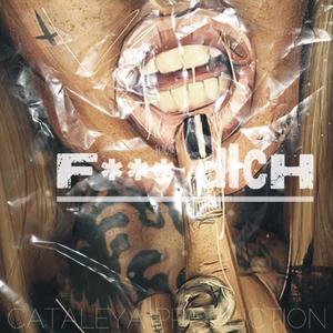 Fick dich (feat. Teach24) [Explicit]