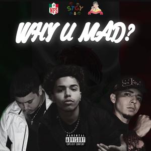 Why U Mad? (feat. Jumex Palmas & NFS JayAre) (Explicit)