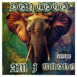 Am I Wrong (Explicit)