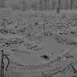 expressions (feat. ZAIDECK) (Explicit)