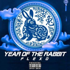 YEAR OF THE RABBIT (Explicit)