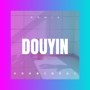 爱过的人我已不再拥有 错过的人是否可回首 (DJ版)