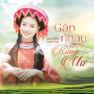 Gặp Nhau Giữa Rừng Mơ