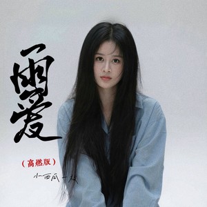 雨爱 (高燃版伴奏) - 小西瓜一枚封面