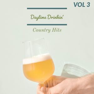 Daytime Drinkin' Vol.3 - Country Hits