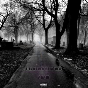 i'll never be loved again... (Explicit)